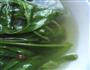 好喝的空心菜汤的做法图解5