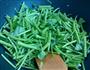 蚝油木耳空心菜的做法图解2