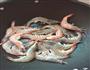 油焖大虾的做法图解1