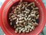 五香卤花生的做法图解3
