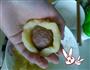 土豆泥小丸子的做法图解4