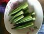 葱油秋葵的做法图解1