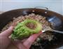 客家糯米酿豆腐泡，苦瓜的做法图解9
