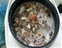 海鲜粥的做法图解6