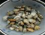 韭香花蛤的做法图解2