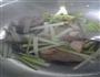 BBQ口味炒肉的做法图解5