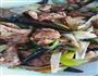 BBQ口味炒肉的做法图解6