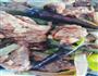 BBQ口味炒肉的做法图解7