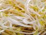 醋溜绿豆芽的做法图解1