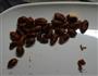 秘制宜宾油辣子的做法图解8
