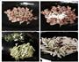 茭白炒瘦肉的做法图解2