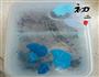 蜜红豆冰沙的做法图解10