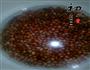 蜜红豆冰沙的做法图解7
