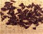 风干牛肉的做法图解5
