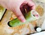宝宝食谱—黄瓜塞肉的做法图解4