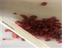 蔓越莓杏仁牛轧糖的做法图解2