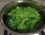 烫拌青菜-谁都会的做法图解1