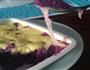 芝士焗紫薯的做法图解10