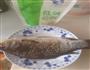 香菜鱼的做法图解1
