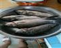 鲫鱼豆腐汤的做法图解1