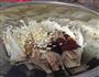 锡纸花甲螺的做法图解2
