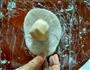 冰皮月饼的做法图解11