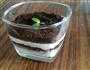 盆栽甜品的做法图解5