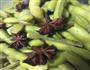 五香水煮毛豆的做法图解3