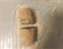 健康早餐全麦紫薯饼的做法图解5