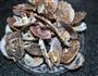 干蒸海虹、扇贝的做法图解9