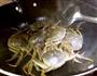 辣蟹的做法图解3