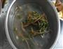 上汤瓜子菜的做法图解4