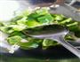 青椒炒油皮的做法图解5