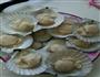 烤扇贝的做法图解2
