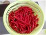私房辣椒酱的做法图解1