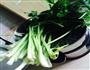 芹菜馅饺子的做法图解1