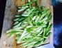 虾仁滑芦笋的做法图解3