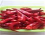辣椒酱的做法图解2