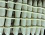 卡仕达酱小排包的做法图解11