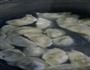 胡萝卜木耳丝瓜素水饺的做法图解11