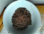 巧克力小面包的做法图解6