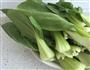 香菇油菜家常快手菜的做法图解4