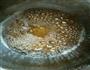 转化糖浆的做法图解6