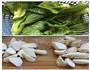 山药芋艿青菜汤的做法图解1