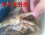 虎皮凤爪的做法图解12