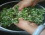 腌韭菜花的做法图解4