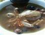 乳鸽汤的做法图解1