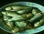 红烧雪菜小鲫鱼的做法图解1