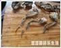秋风起 蟹脚痒丨秋蟹焗鸡球的做法图解6