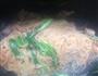 炒米粉的做法图解10